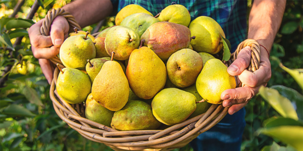 Interpera 2025: ad Hasselt si punta su innovazione e cooperazione